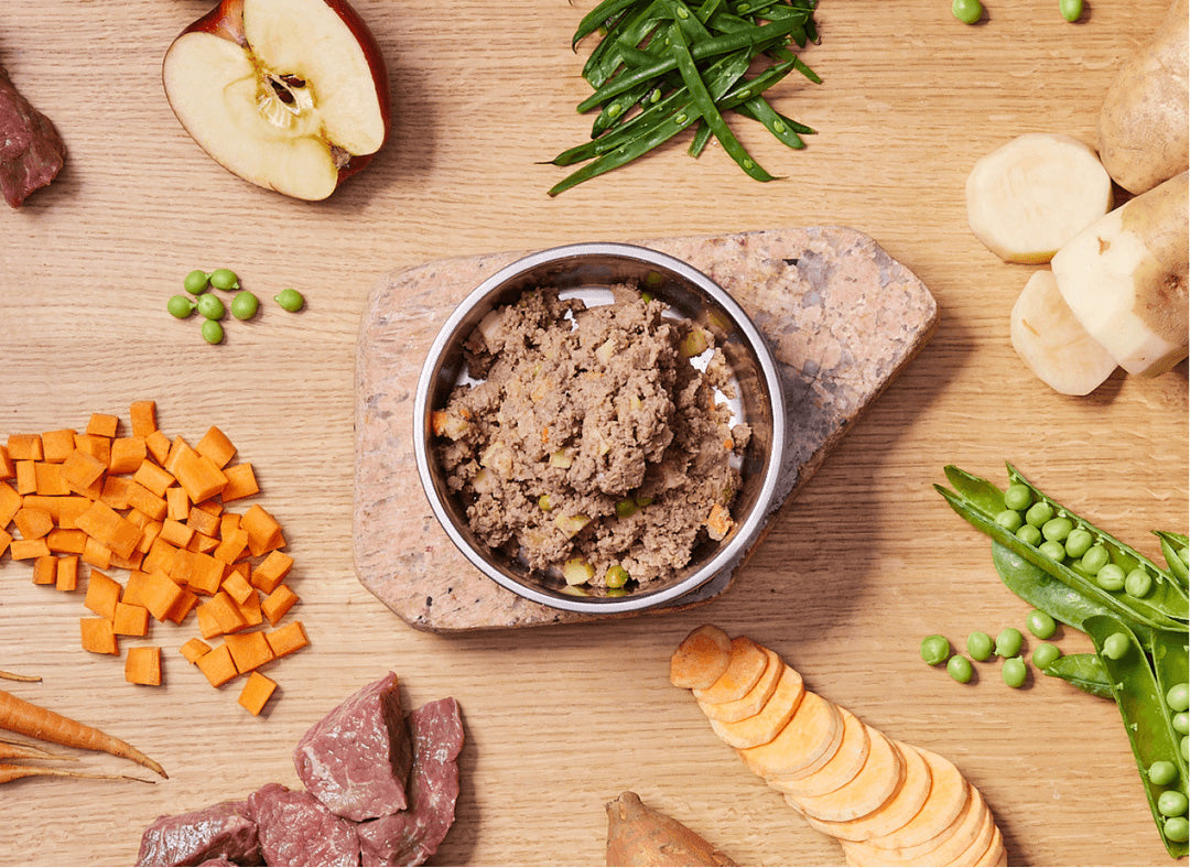 Savoury Beef Recipe for Dogs