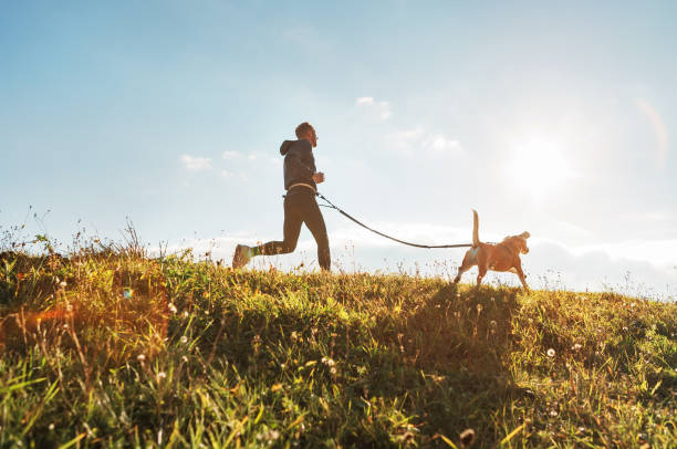 Athletic man running across mountain top with hip leash attached to running dog during sunset