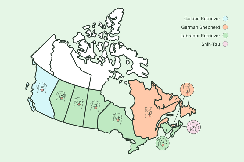 Map illustration of Canada showing popular breeds in each province