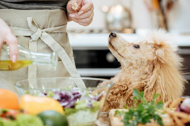 Fats and oils in pet food