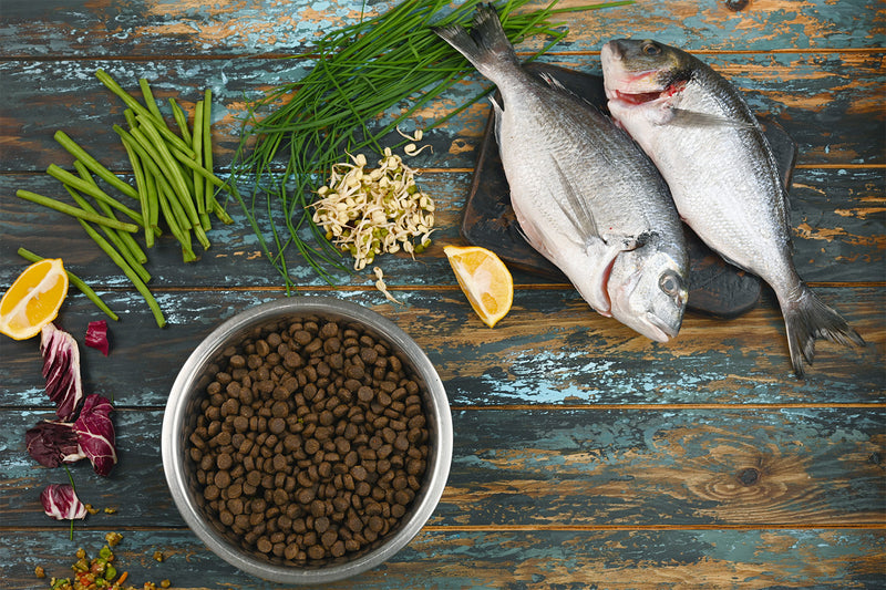 How To Add Fresh Food to Dry Dog Food and Kibble Topper Options