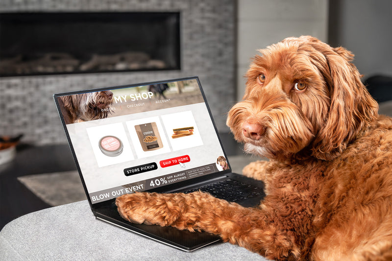 Homemade Dog Food Delivery: Better dog food starts in the kitchen