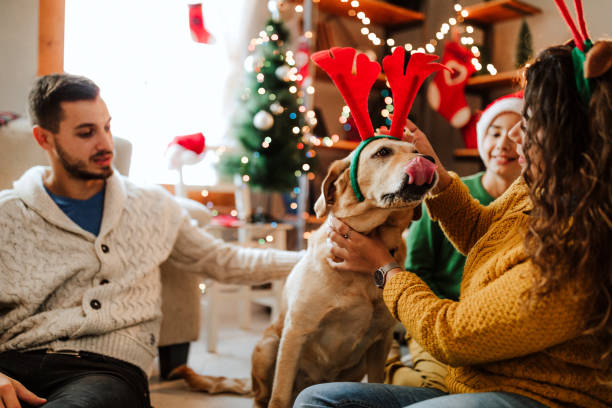 Dog opening christmas presents with their owner