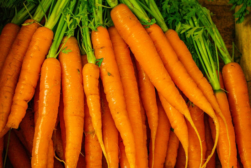 Freshly picked carrots in a bunch sitting on a table