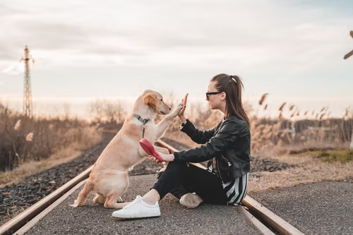 Golden retriever giving woman high-five outdoors