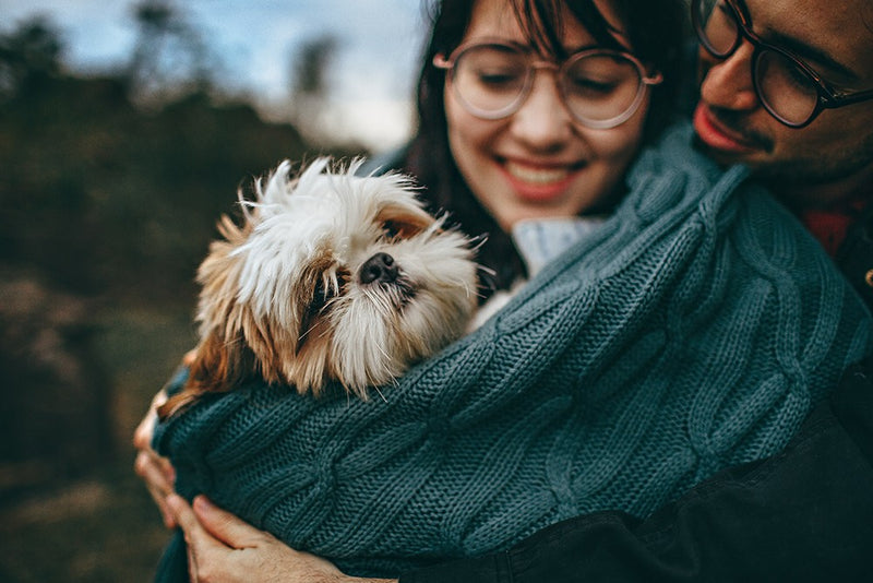 Happy Shih Tzu male and female owners cuddling together