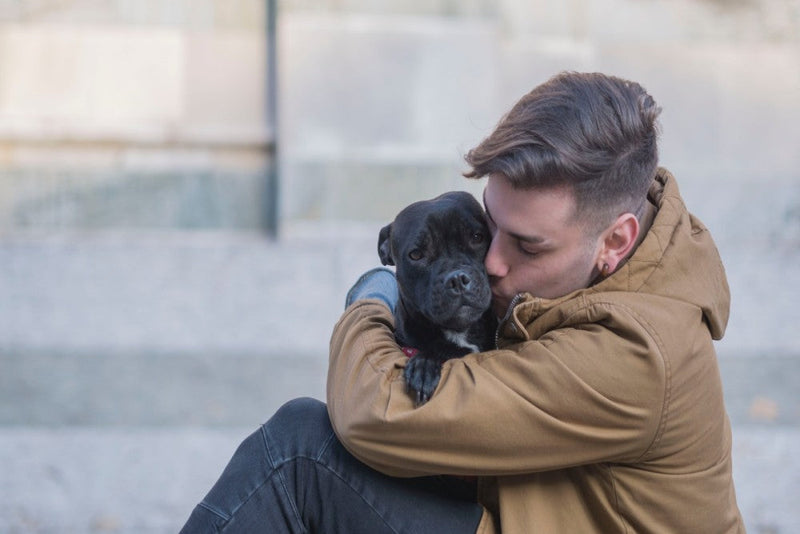 New pet parent adopting black Pitbull from shelter