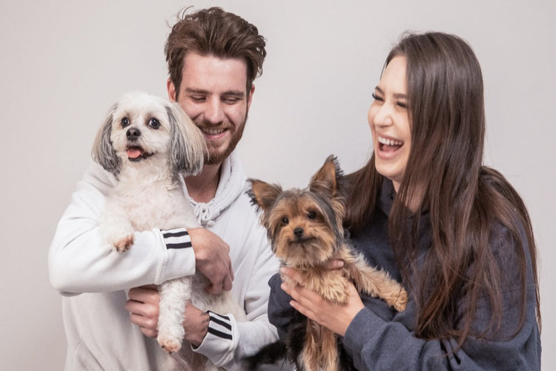 Man carrying Shih Tzu sitting beside woman holding a Yorkshire Terrier