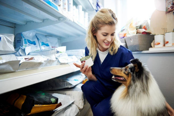 Veterinarian showing a sheltie prescription food
