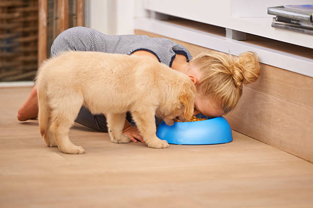 Toddler and golden retriever puppy eating out of the same dog bowl on the floor