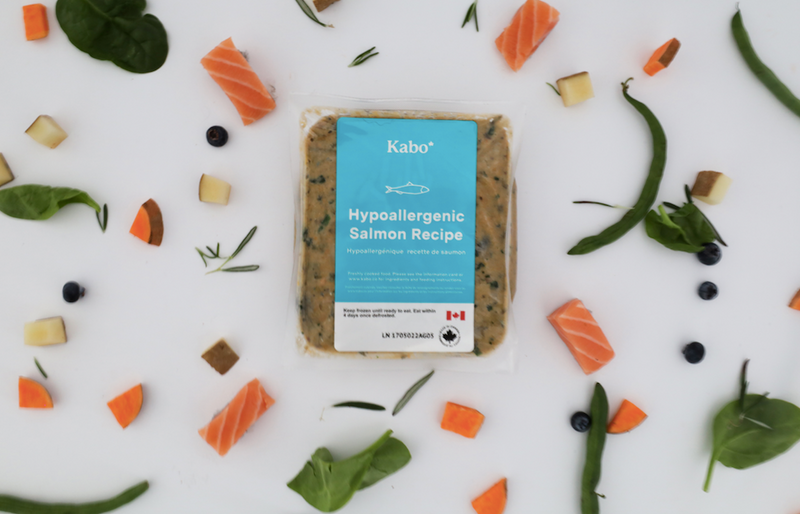 Kabo fresh cooked salmon recipe in package surrounded by fresh ingredients