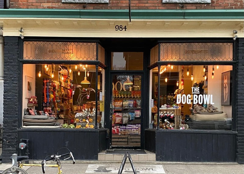 Store Front of The Dog Bowl