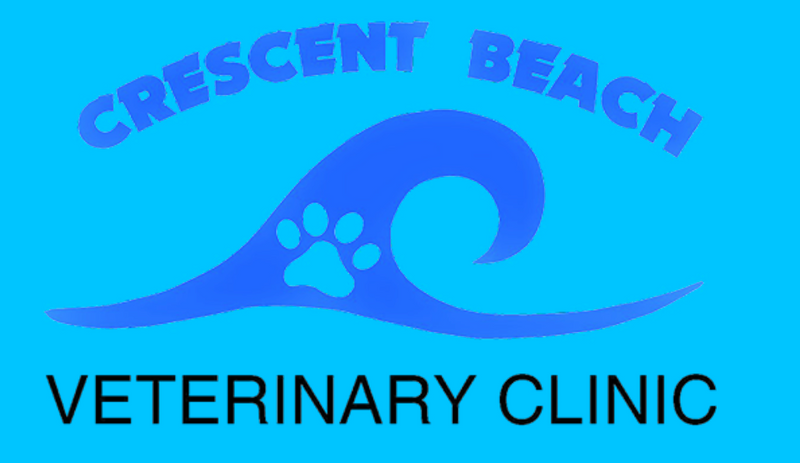 The Inside Scoop at Crescent Beach Veterinary Clinic