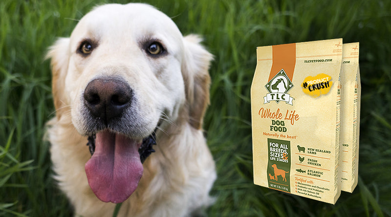 Golden retriever sitting next to a bag of TLC dog food