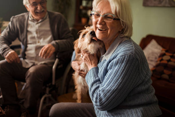 Senior couple hugging their small dog
