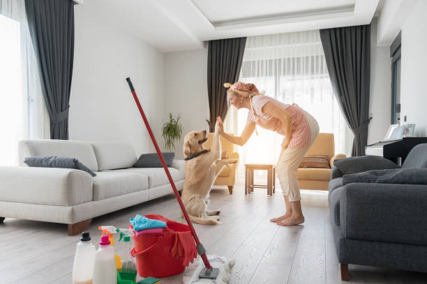 Natural cleaning products that are safe for dogs – Kabo