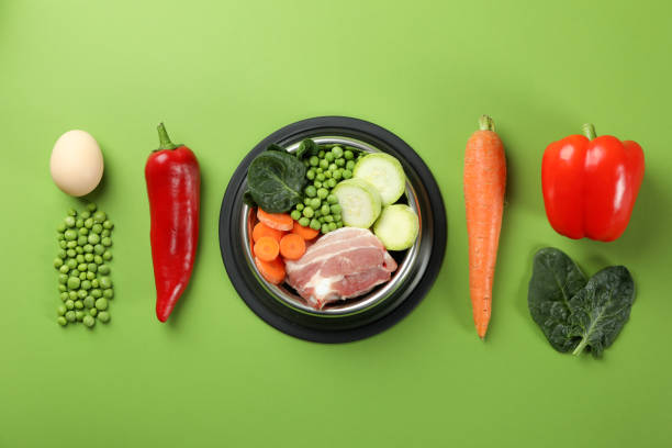 Vegetables like peas, pepper, kale, carrot, cucumber and pumpkin that are safe for dogs to eat, all in a dog dish