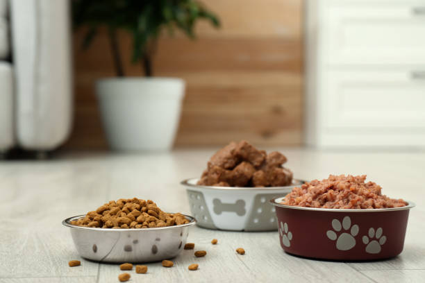 3 bowls of dog food on the kitchen floor; kibble, fresh and raw foods