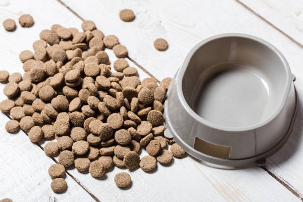 Empty dog food bowl with kibble splayed out beside it