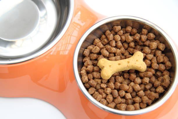 Dog bowl full of baked kibble