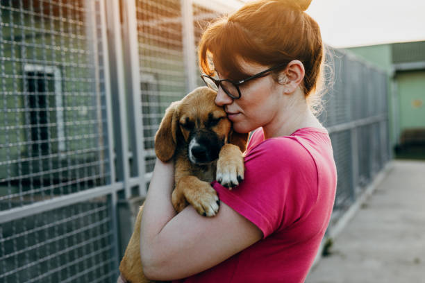 Potential adopter cuddling puppy at the shelter