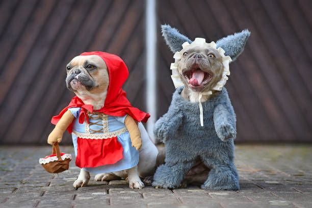 2 frechies in halloween costumes, one dressed as little red riding hood and one as the big bad wolf