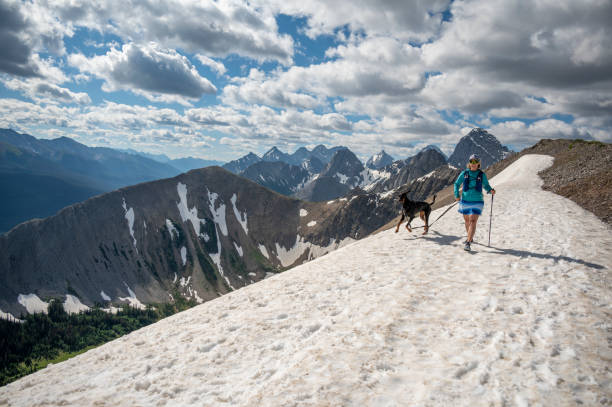 Lady hiking with her dog at the top of a mountain in alberta
