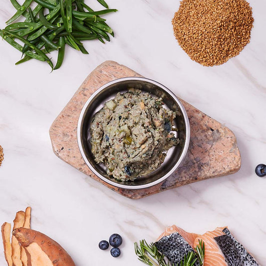 Hypoallergenic Salmon Recipe